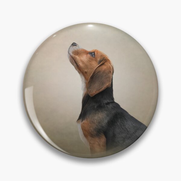 Item preview, Drawing Dog Beagle 25 designed and sold by bonidog.