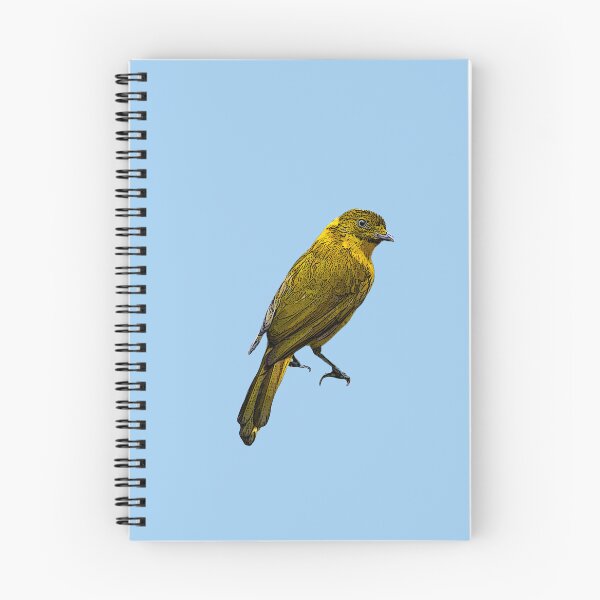 Item preview, Golden Bowerbird Color Design  designed and sold by designsasstultd.