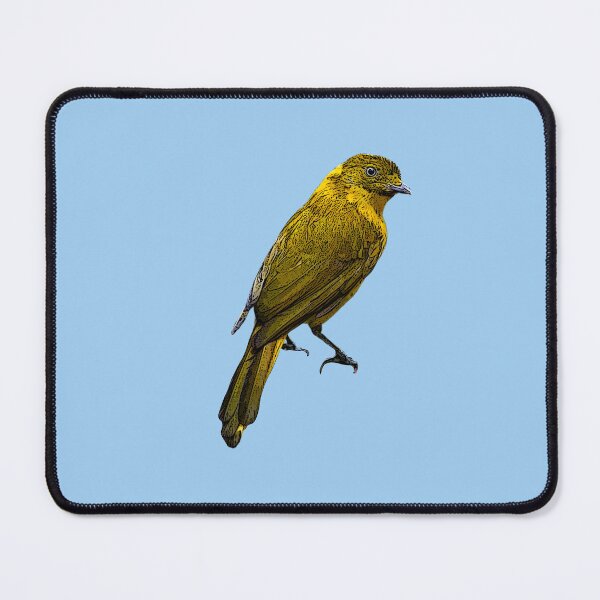 Item preview, Golden Bowerbird Color Design  designed and sold by designsasstultd.