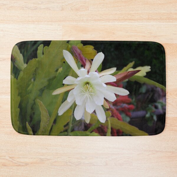 Item preview, Cactus Blooms Again Today designed and sold by heatherfriedman.