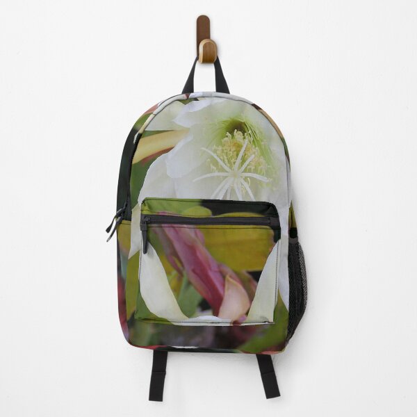 Item preview, Cactus Blooms Again Today designed and sold by heatherfriedman.