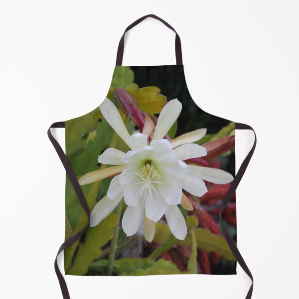 Item preview, Cactus Blooms Again Today designed and sold by heatherfriedman.