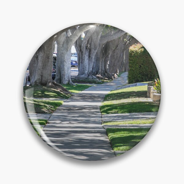 Item preview, Path of Trees designed and sold by heatherfriedman.