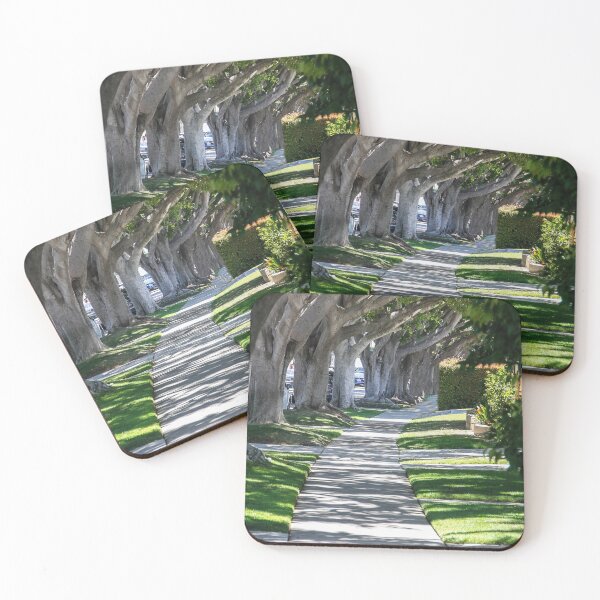 Item preview, Path of Trees designed and sold by heatherfriedman.