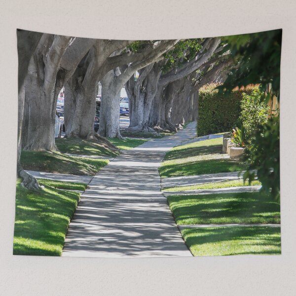 Item preview, Path of Trees designed and sold by heatherfriedman.