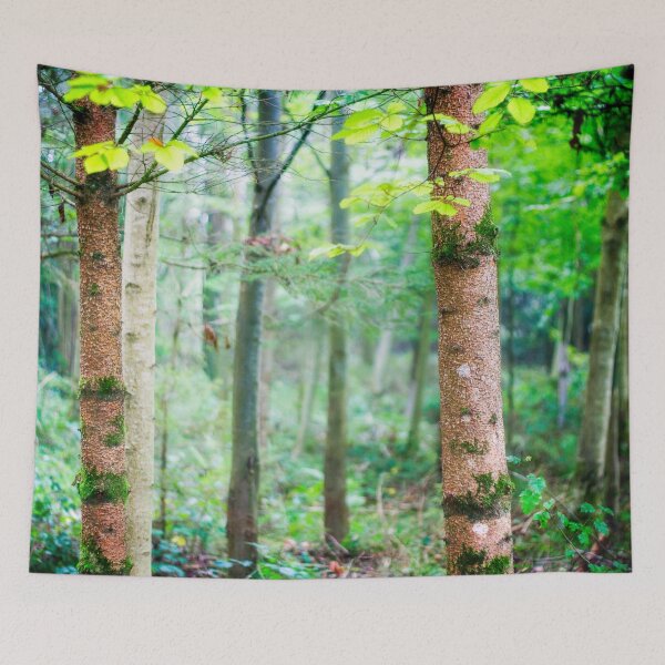 Item preview, Beech tree wood designed and sold by FOLK ART FUSION by heidiannemorris.