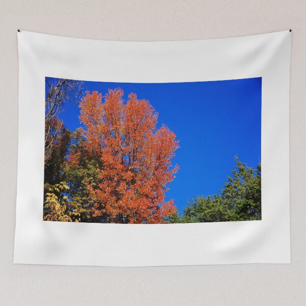 Item preview, Contrast designed and sold by D-GaP.