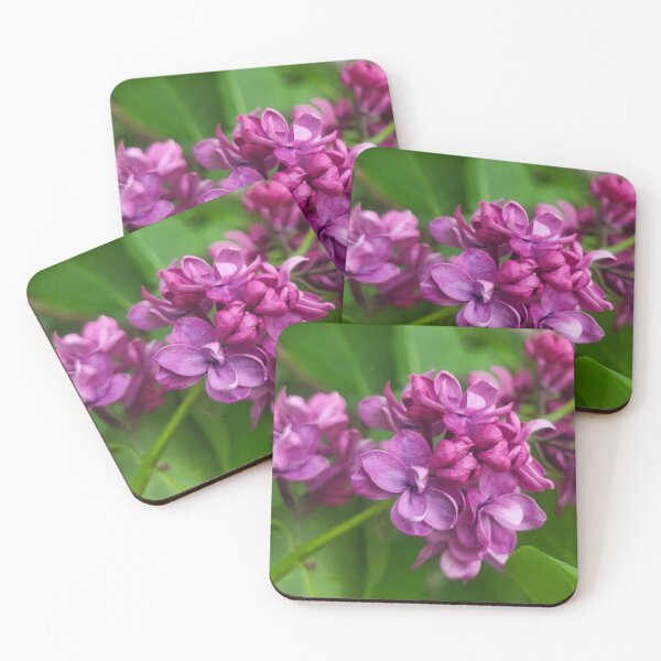 Item preview, Purple Flower in Bloom designed and sold by WhiteSoftPetals.