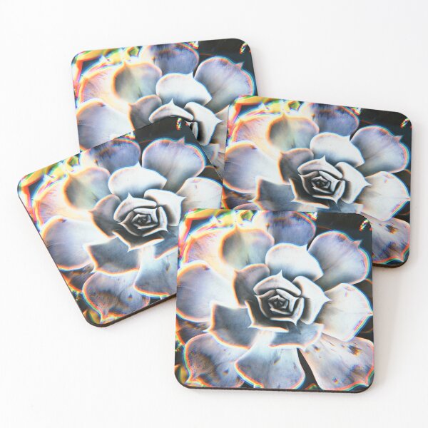 Item preview, Echeveria  designed and sold by ralphpadiwhack.