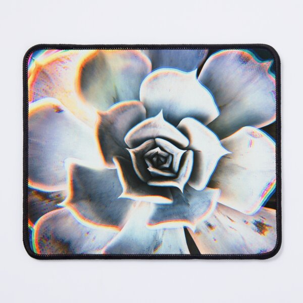 Item preview, Echeveria designed and sold by ralphpadiwhack.