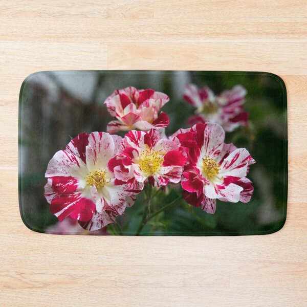 Item preview, A Cluster of Bold Variegated Roses with Golden Yellow Centers designed and sold by Georgia Mizuleva.