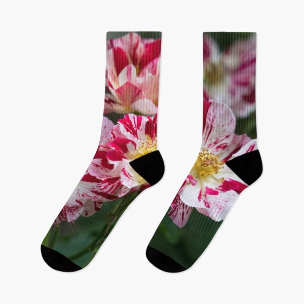 Item preview, A Cluster of Bold Variegated Roses with Golden Yellow Centers designed and sold by Georgia Mizuleva.