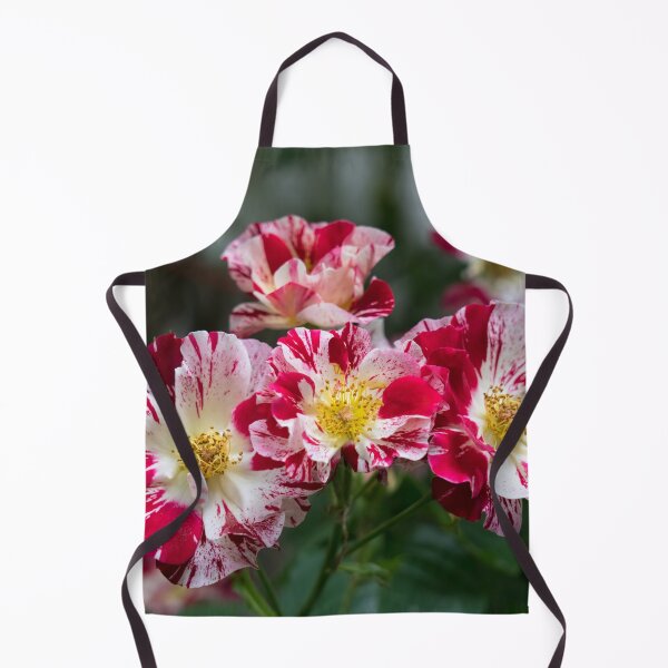 Item preview, A Cluster of Bold Variegated Roses with Golden Yellow Centers designed and sold by Georgia Mizuleva.
