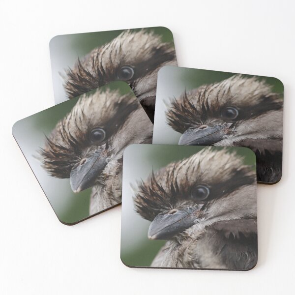 Item preview, Juvenile Kookaburra designed and sold by Pixxowl.