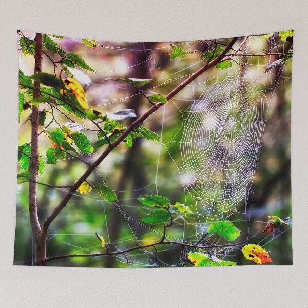 Item preview, heidiannemorris,Spider web in the woods designed and sold by FOLK ART FUSION by heidiannemorris.