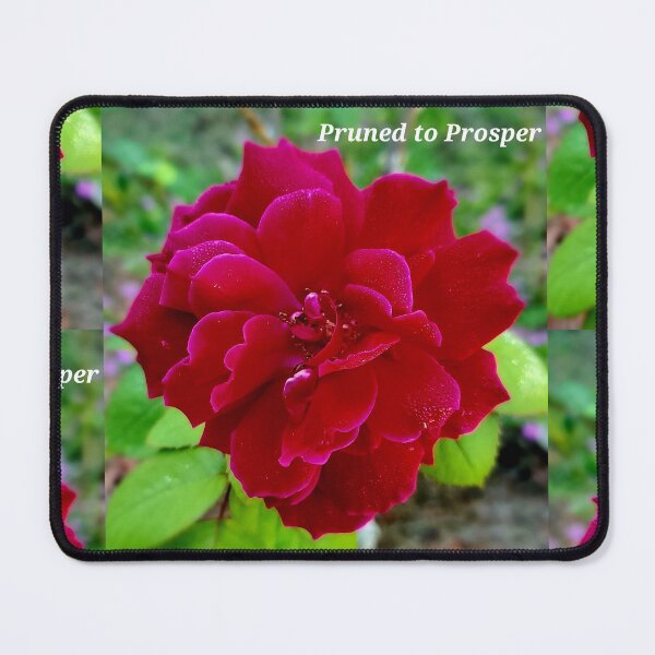 Item preview, Unwind....Beautifully pt 3 designed and sold by ARTZ1dayz.