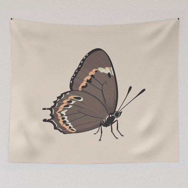 Item preview, cute black hairstreak butterfly designed and sold by Atlantico54.