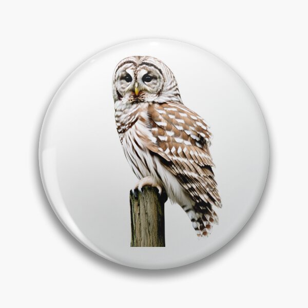 Item preview, Barred owl sitting designed and sold by maggiesens.