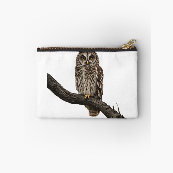 Item preview, Barred owl sitting designed and sold by maggiesens.
