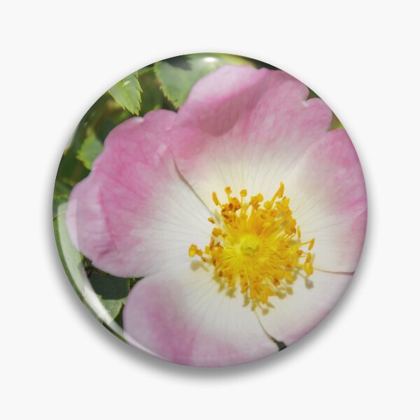 Item preview, Wild Rose designed and sold by JEZ22.
