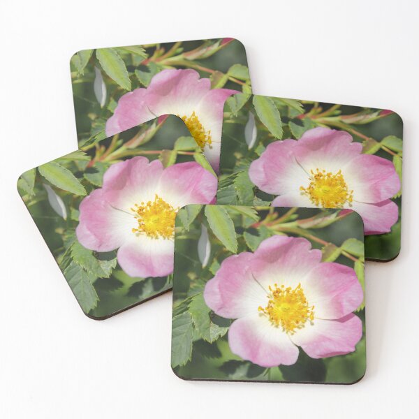 Item preview, Wild Rose designed and sold by JEZ22.