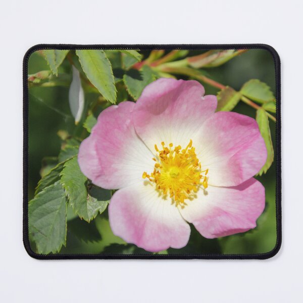 Item preview, Wild Rose designed and sold by JEZ22.