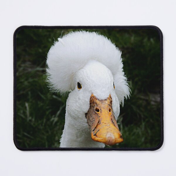 Item preview, Crested Duck designed and sold by Ladymoose.