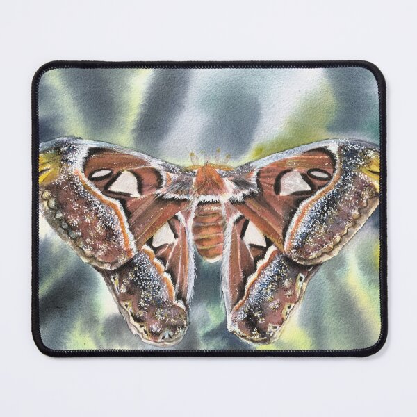 Item preview, Atlas Moth Watercolour designed and sold by Bexter97.
