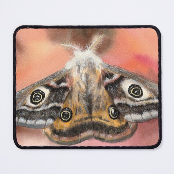 Item preview, Emperor Moth Watercolour Painting designed and sold by Bexter97.