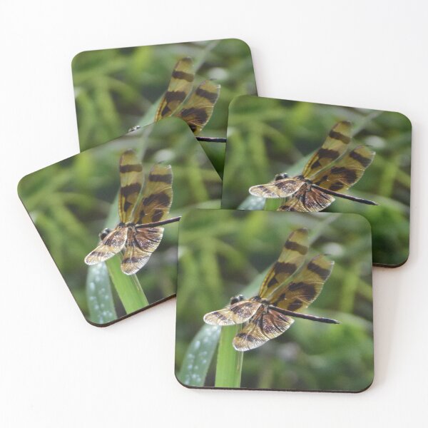 Item preview, Halloween Pennant Dragonfly designed and sold by MercerImages.