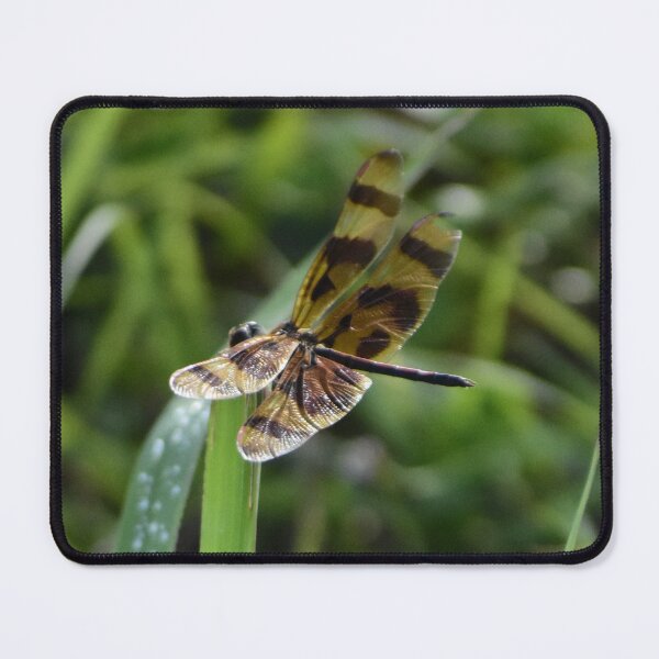 Item preview, Halloween Pennant Dragonfly designed and sold by MercerImages.