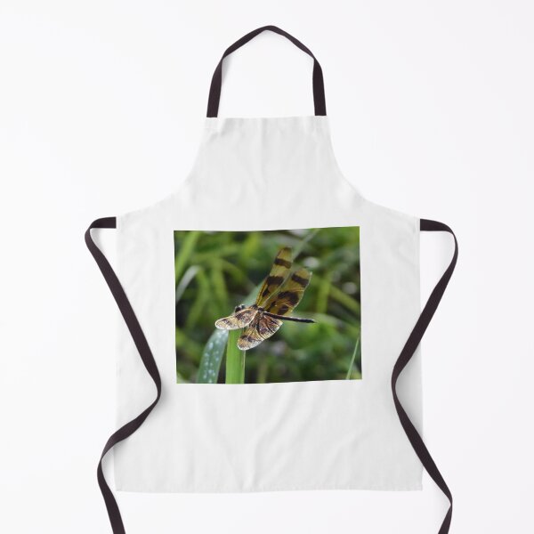 Item preview, Halloween Pennant Dragonfly designed and sold by MercerImages.