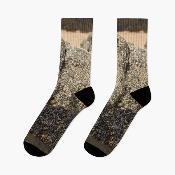 Item preview, Seaweed on Rock Rathmullan Vertical designed and sold by eddiebarronshop.