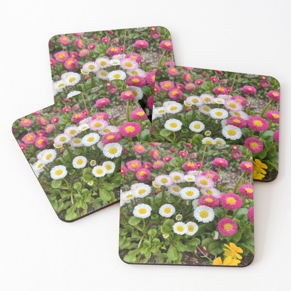 Item preview, Beautiful varieties of bellis perennis  designed and sold by Ponted.
