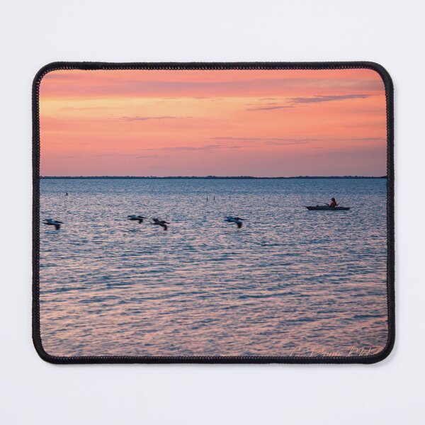 Item preview, Sharing the Bay designed and sold by Texas Enfocus Photography.