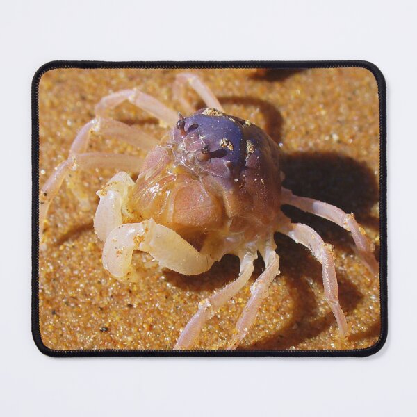 Item preview, Tiny Blue Soldier Crab designed and sold by KaSaPo.