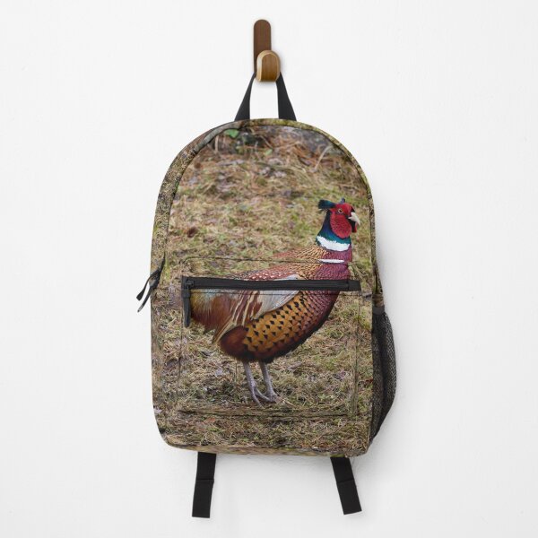 Item preview, To be or not to be. Common pheasant designed and sold by Jouko Lehto Photography.