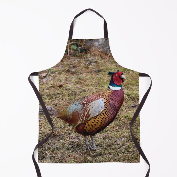 Item preview, To be or not to be. Common pheasant designed and sold by Jouko Lehto Photography.