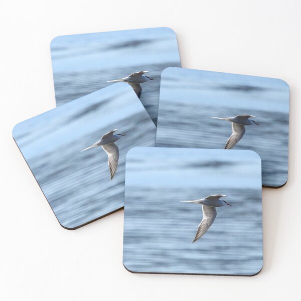 Item preview, Speedlines. Common tern designed and sold by Jouko Lehto Photography.