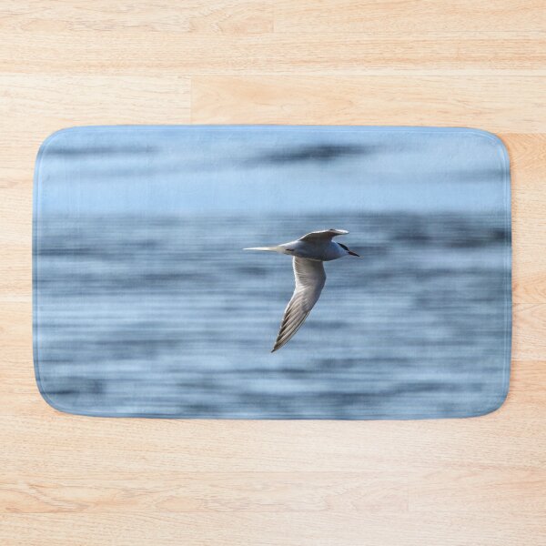 Item preview, Speedlines. Common tern designed and sold by Jouko Lehto Photography.