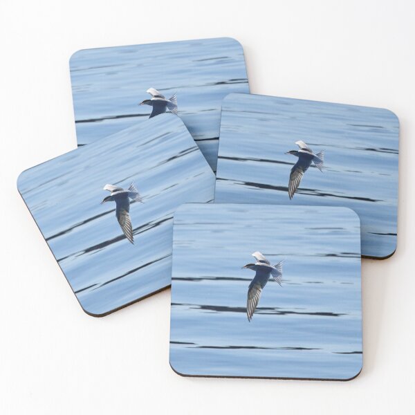 Item preview, Backlight shot. Common tern designed and sold by Jouko Lehto Photography.