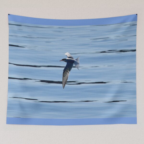 Item preview, Backlight shot. Common tern designed and sold by Jouko Lehto Photography.