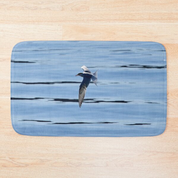 Item preview, Backlight shot. Common tern designed and sold by Jouko Lehto Photography.
