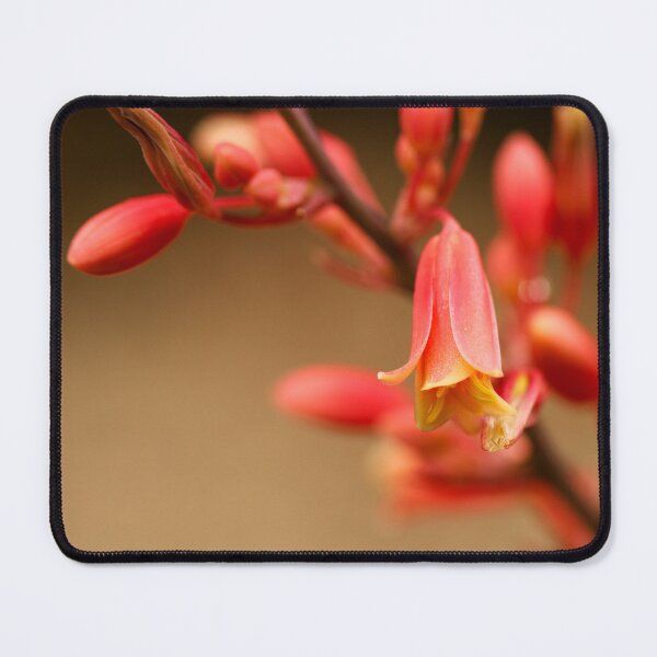 Item preview, Red Yucca designed and sold by Stephanie SD3 Creative.