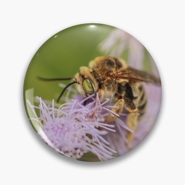 Item preview, Bee collecting on wildflower designed and sold by Stephanie SD3 Creative.