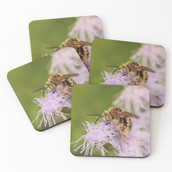 Item preview, Bee collecting on wildflower designed and sold by Stephanie SD3 Creative.