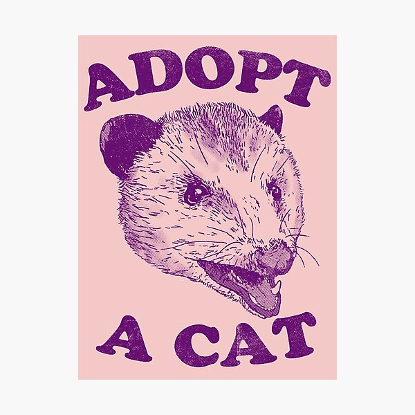 Adopt A Cat Photographic Print