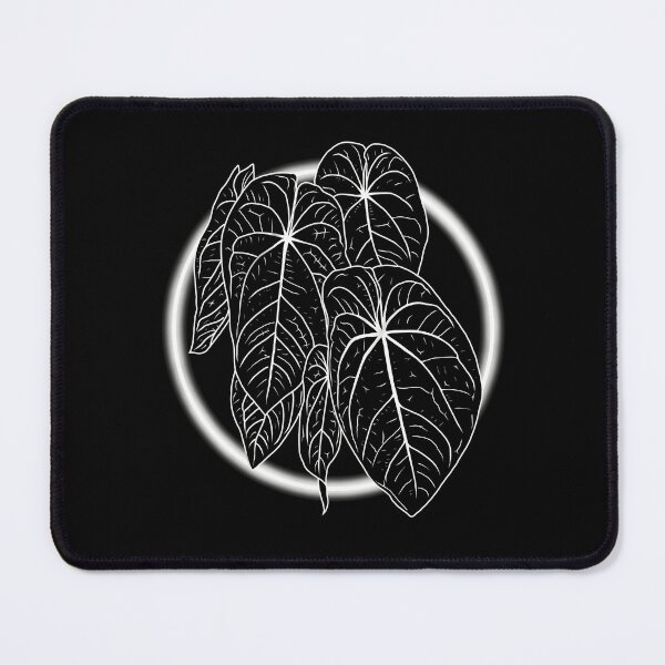 Item preview, ANTHURIUM ACE OF SPADES designed and sold by MYPLANTEES.