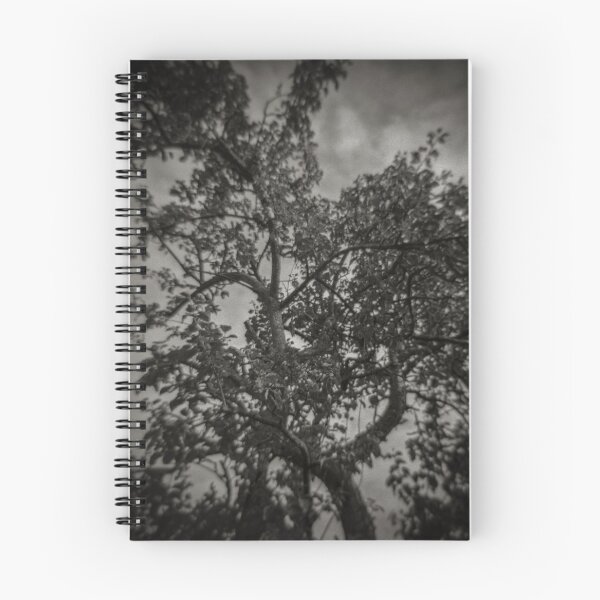 Item preview, Fine Art Photograph Made With Toy Camera - Tree designed and sold by Christopher Ball.