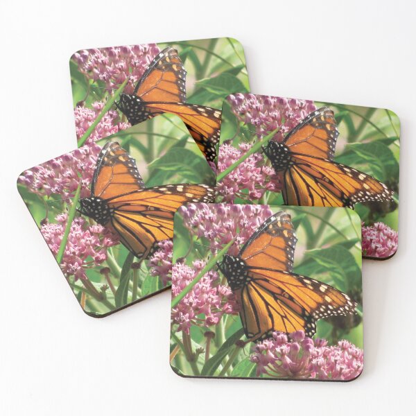Item preview, Believe its Butterfly designed and sold by KensLensDesigns.